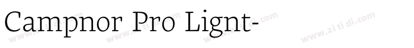 Camphor Pro Light字体转换 Camphor Pro Light字体转换